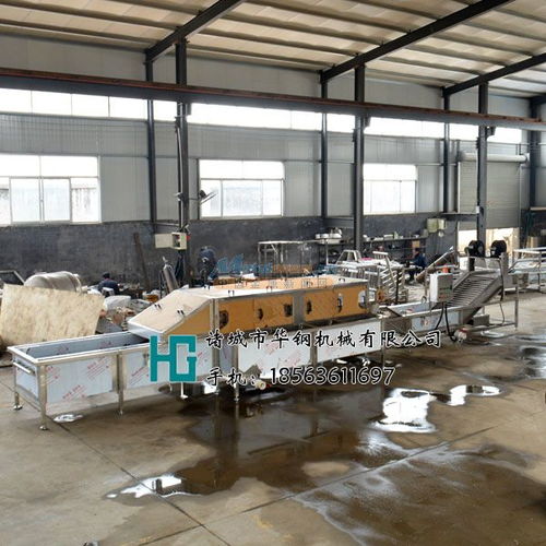 華鋼火龍果清洗機(jī),檸檬清洗機(jī)定制加工 諸城市華鋼機(jī)械銷售部
